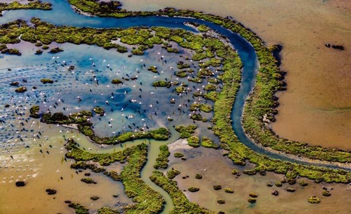 Fotoğraf Sanatçısı Ali Kabaş’ın ¨Yabani – Untamed¨ Sergisi