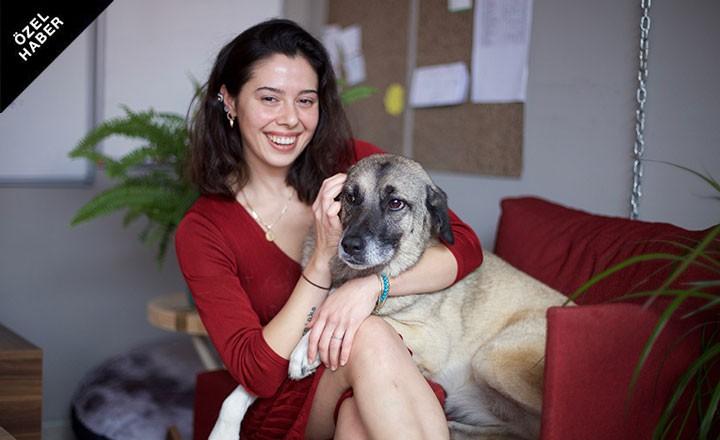 Kedi ve Köpeklerde Çiğ Beslenme