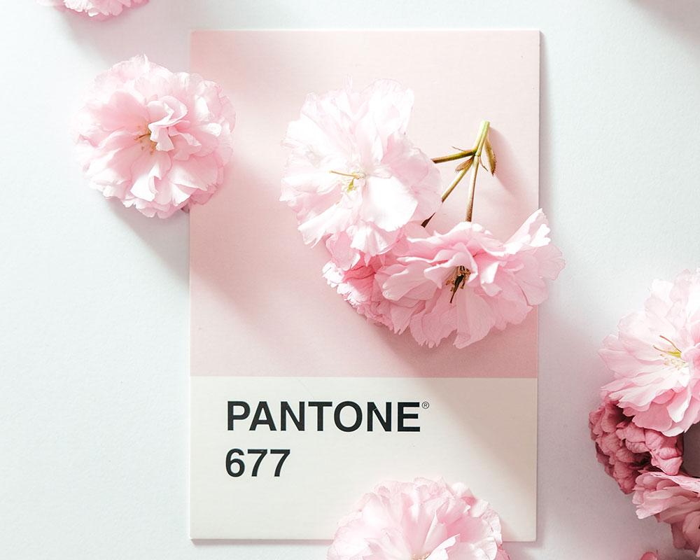 Pantone 2022 İlkbahar/Yaz Renk Trendleri