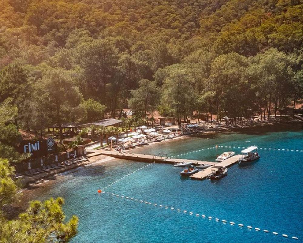 Cennet Adasına Hoşgeldiniz: Fimi Island