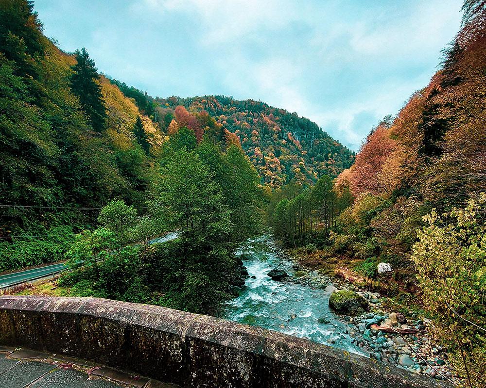 Cennete Yolculuk: Rize