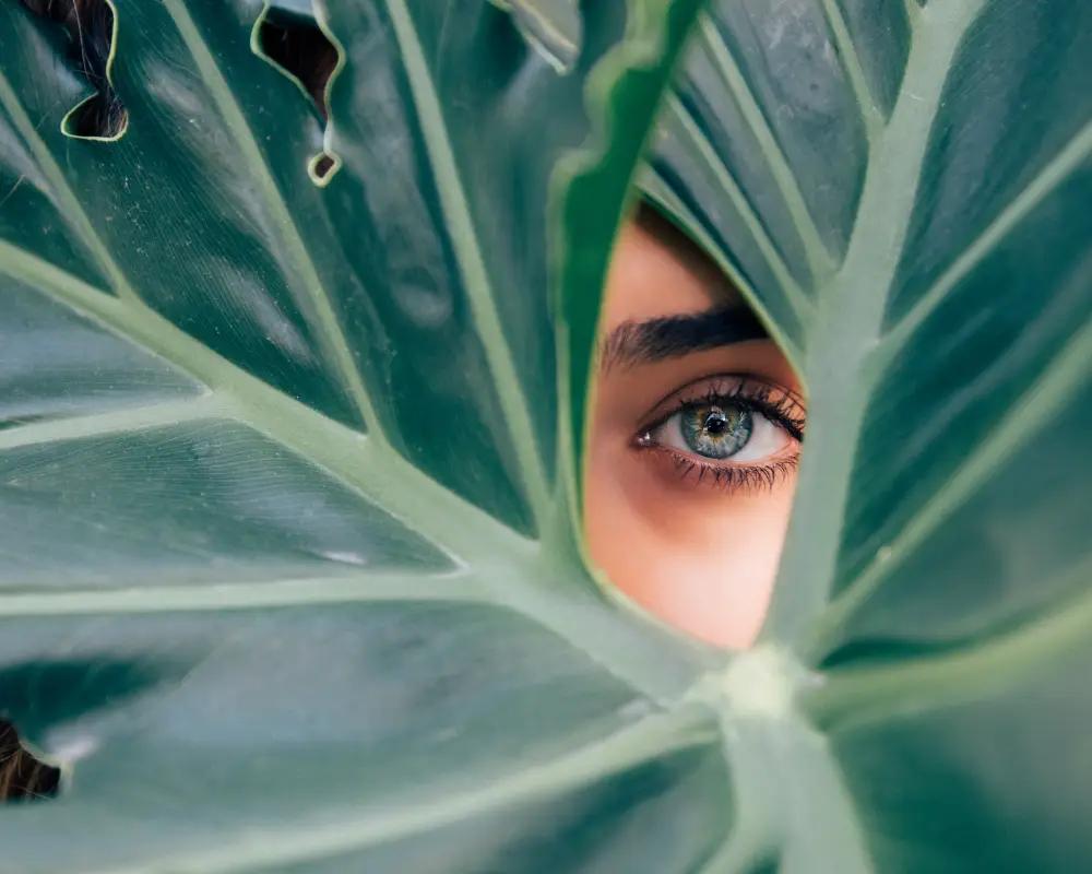 Vegan Cilt Bakım Ürünleri