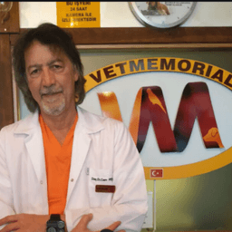 Doç. Dr. Cem Perk