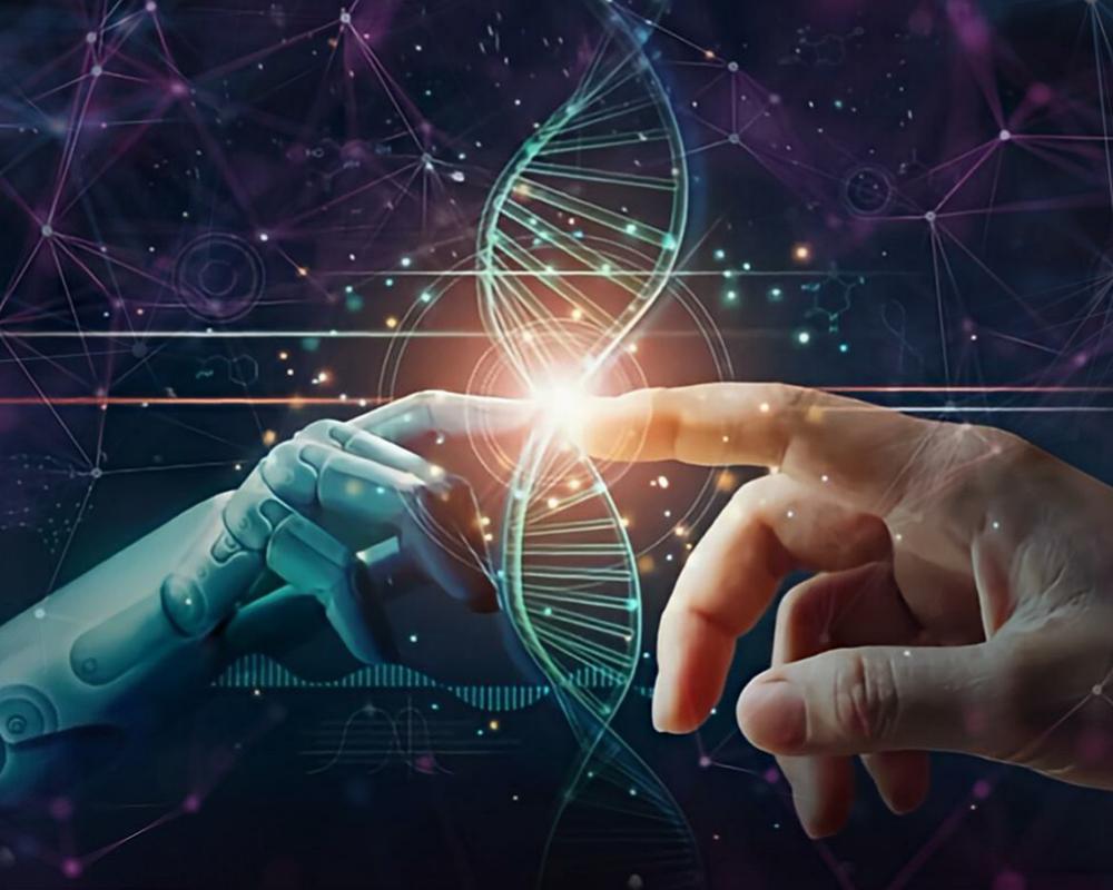 Sağlıklı ve Uzun Yaşam Sırrı Longevity Nedir?