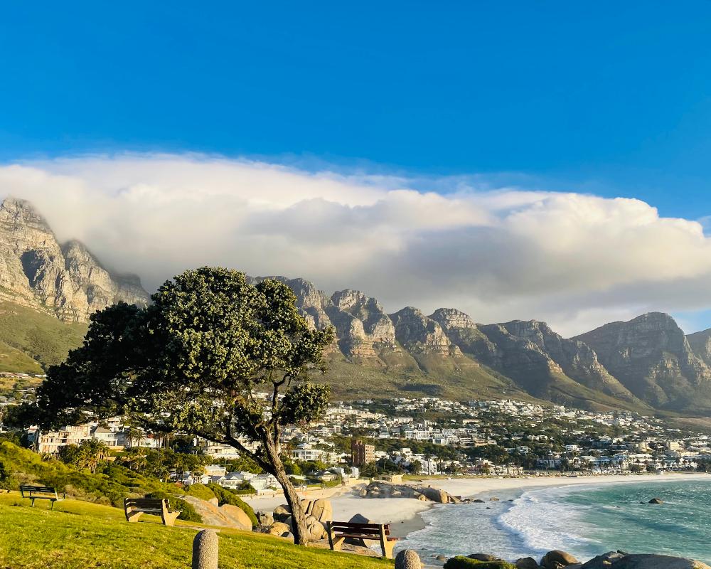 Cape Town'da İyi Yaşamın Sırlarının İzinde